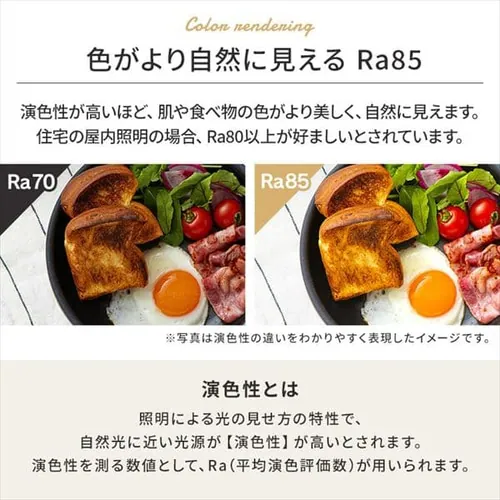 �y2�Z�b�g�z LED �V�[�����O���C�g 6�� ���� �H��E�H���s�v �����R���t�� 1�N�ۏ� ACL-6DMR_9