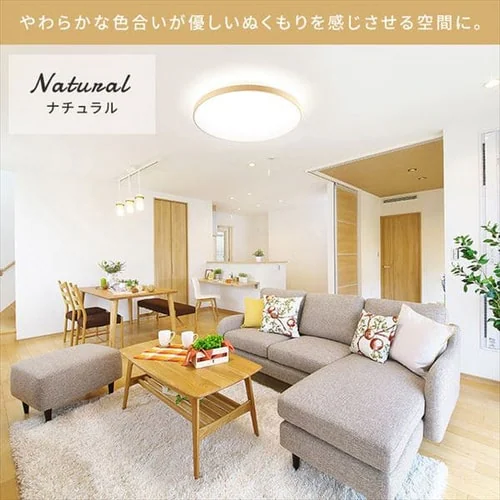 �y2�Z�b�g�z LED �V�[�����O���C�g 12�� ���� �H��E�H���s�v �����R���t�� 1�N�ۏ� ACL-12DUR_5