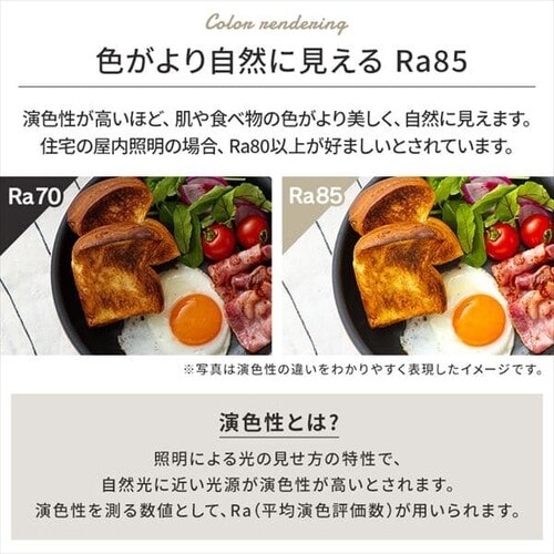 LED �V�[�����O���C�g 6�� ���� �H��E�H���s�v �����R���t�� 1�N�ۏ� ACL-6DGS_10