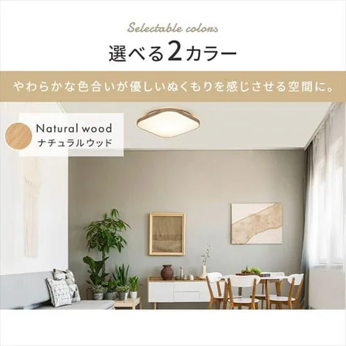 LED �V�[�����O���C�g 8�� ���� ���F �H��E�H���s�v �����R���t�� 1�N�ۏ� ACL-8DLUS_14