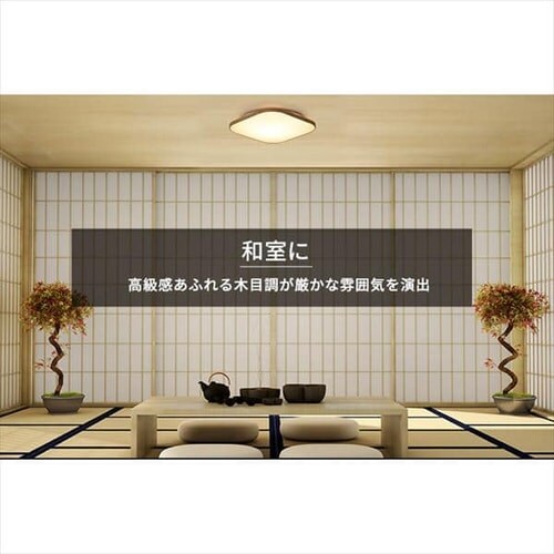 LED �V�[�����O���C�g 12�� ���� ���F �H��E�H���s�v �����R���t�� 1�N�ۏ� ACL-12DLUS_4