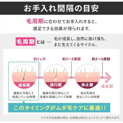 �ƒ�p�����e�� �G�s���^(epilata) EP-0115-P_12