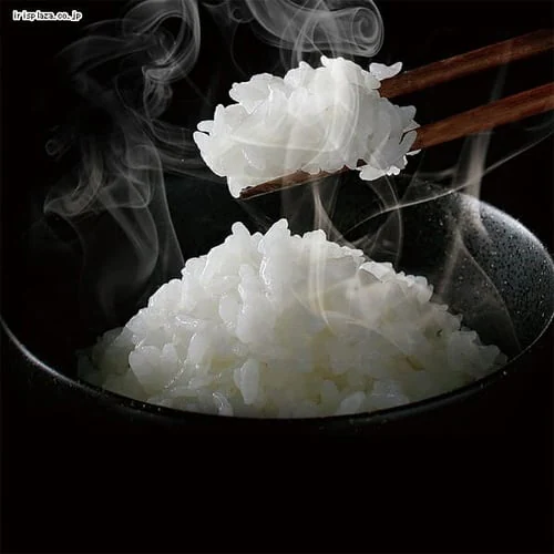 【訳あり】米屋の旨み 銘柄炊きジャー炊飯器 5.5合 RC-MA50-B_9