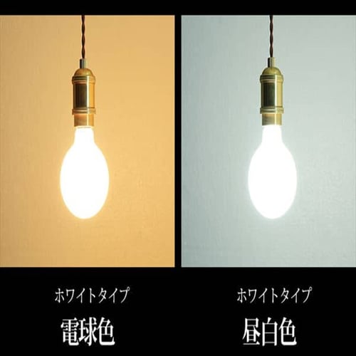 LEDフィラメント電球 E26口金 全方向タイプ 80W形相当 電球色 LDG9L-G
