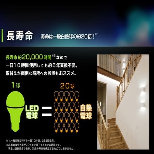 2個セット】LEDフィラメント電球 E12口金 全方向タイプ 25W形相当 電球
