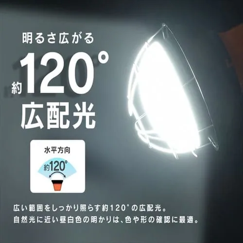 ���[�N���C�g LED ������ �L�z�� ��Ɠ� 5500lm LWT-5500CK_6