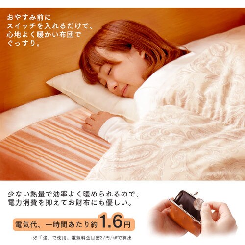 電気毛布 190×130 敷きタイプ 省エネ室温センサー付 EHB-1913-T 洗える