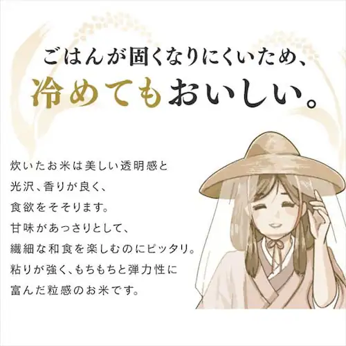 令和6年産 低温製法米 無洗米 秋田県産 あきたこまち 10kg_6