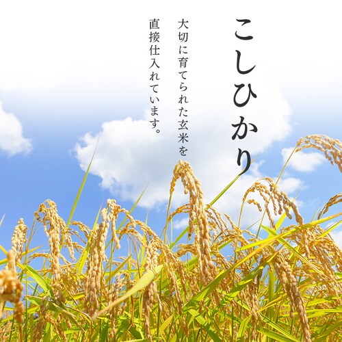 �ߘa6�N�Y�y2�܃Z�b�g�z�ቷ���@�ā@�����ā@�V�����Y�����Ђ���@5kg_5