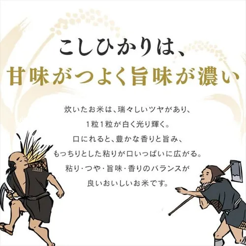令和7年産 米 無洗米 新潟県産 コシヒカリ 1.5kg_7
