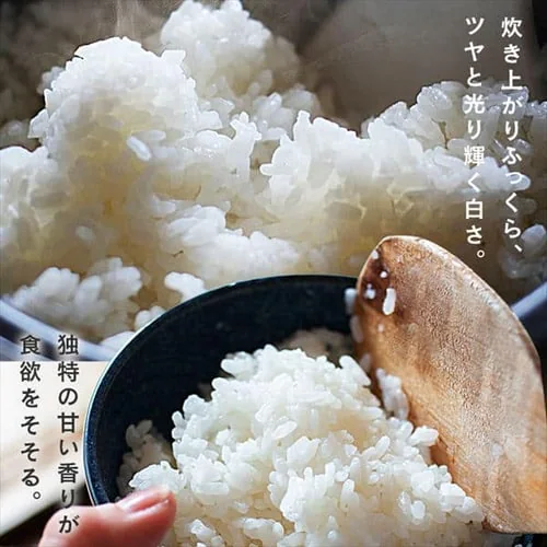 令和7年産 米 新潟県魚沼産 コシヒカリ 1.5kg_3