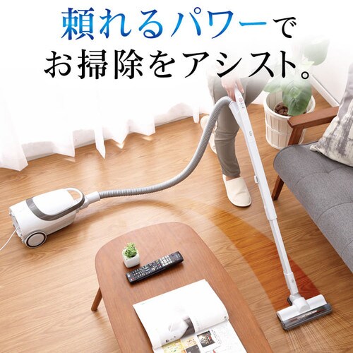 �y�ʎ��p�b�N�N���[�i�[�@�p���[�w�b�h IC-BTP3-S �V���o�[_2