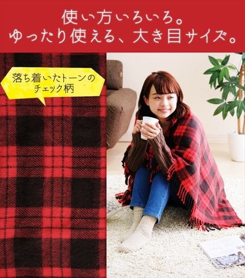 電気毛布 80×120㎝ 室温センサー EBK-1208-ZR レッド H572409