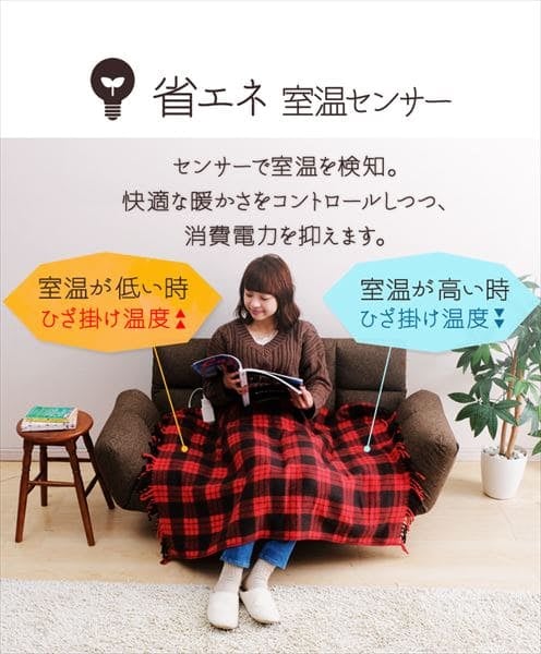 電気毛布 80×120㎝ 室温センサー EBK-1208-ZR レッド H572409