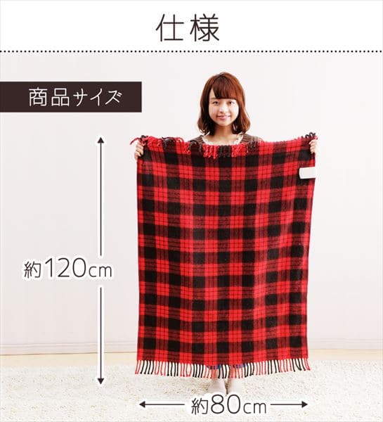 電気毛布 80×120㎝ 室温センサー EBK-1208-ZR レッド【前払い不可
