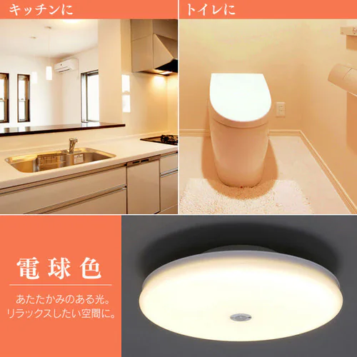 �y2�Z�b�g�z�V�[�����O���C�g LED ���^ ���` 2000lm �l���Z���T�[�t �����F ���� �L�� �L�b�`�� ���ʏ� �N���[�[�b�g �Ɩ� SCL20DMS-UU _7