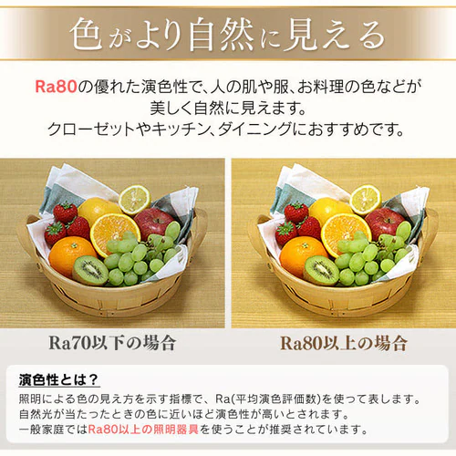 �y2�Z�b�g�z�V�[�����O���C�g LED ���^ ���` 2000lm �l���Z���T�[�t �����F ���� �L�� �L�b�`�� ���ʏ� �N���[�[�b�g �Ɩ� SCL20DMS-UU _13