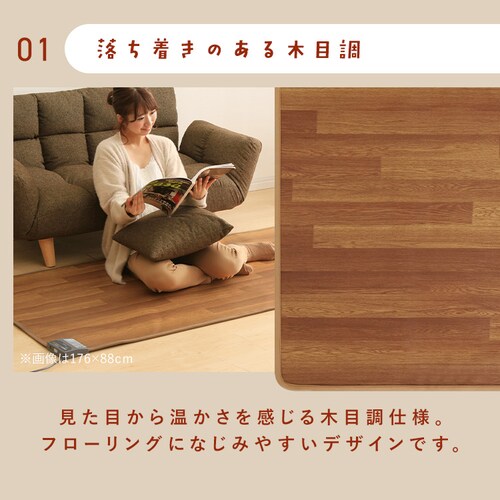 �z�b�g�J�[�y�b�g 45�~110 ���x����2�i�K HCM-1105FL-M �������H �������ȒP �ؖڒ�_3