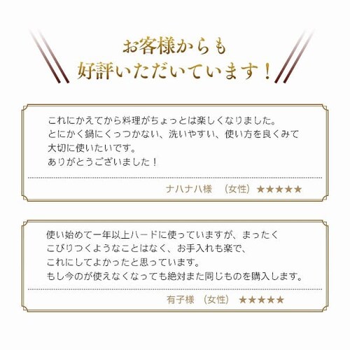 �t���C�p�� 10�_�Z�b�g IH/�K�X�ΑΉ� �_�C�������h�O���C�X DG-SE10 �V���o�[�yB�z_9