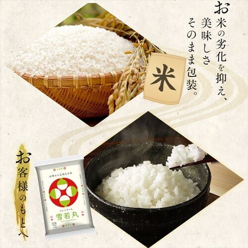 �y�V�āz�ߘa6�N�Y ���N�� �R�`���Y ���� 300g_7