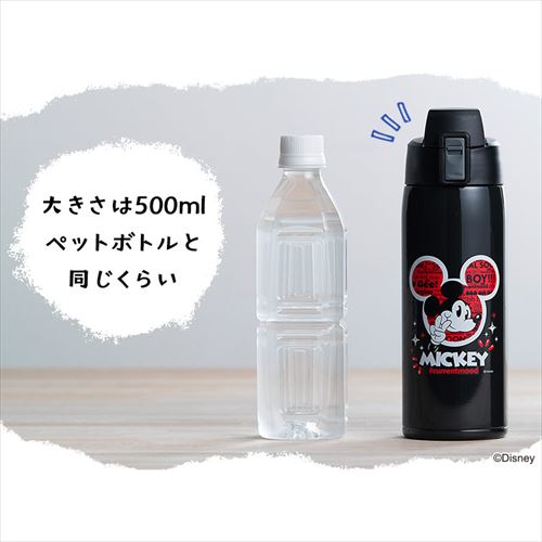 ステンレスケータイボトルダイレクトボトル 全2種 H573530F │アイリス