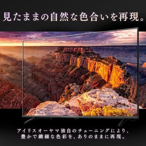 �y�ݒu�����z 4K�Ή��t���e���r 49�C���` �u���b�N LT-49B620_4
