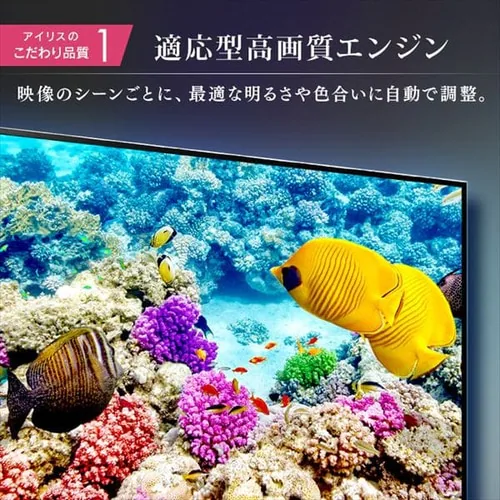 �y�ݒu�����z 4K�`���[�i�[�����t���e���r 50�C���` �u���b�N 50XUB30_9