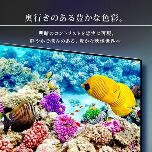 �y�󂠂�z4K�`���[�i�[�����t���e���r 65�C���` �u���b�N 65XUB30_10