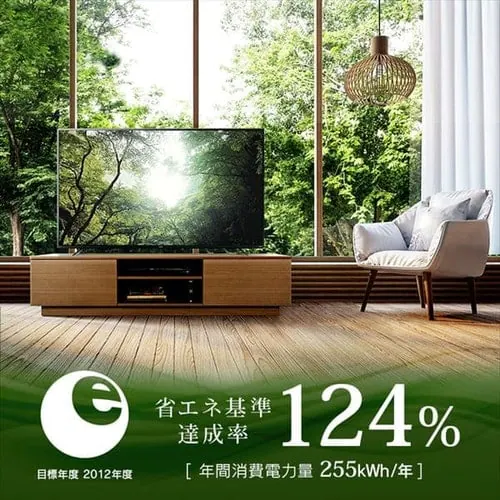 �y�󂠂�z4K�`���[�i�[�����t���e���r 65�C���` �u���b�N 65XUB30_13