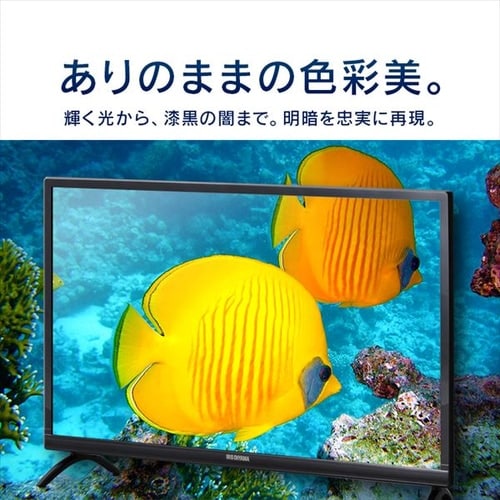 訳あり】テレビ 24V型 LUCA LT-24B320 H573919O │アイリスオーヤマ