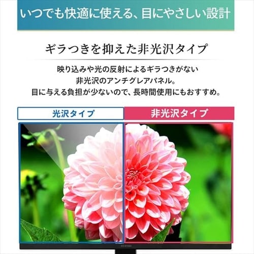 液晶ディスプレイ 23.8インチ LUCA ILD-C23FHDS-B H574338F │アイリス