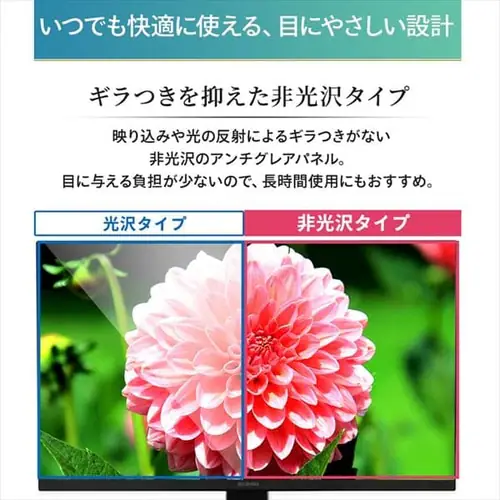 �t���f�B�X�v���C 23.8�C���` LUCA ILD-C23FHDS-B_5