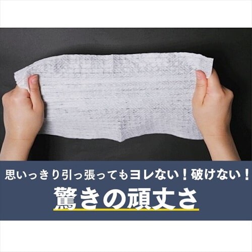 �t���[�����O���C�p�[�p�h���C�V�[�g 30������ FWS-D30_7