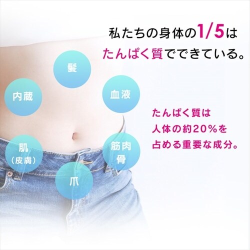 �v���e�C���N�b�L�[ �`���R�� 250g�y�v���U�}�[�P�b�g�z_7