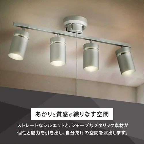 4���V�[�����O���C�g CE4LA-22SS �S2�F_2