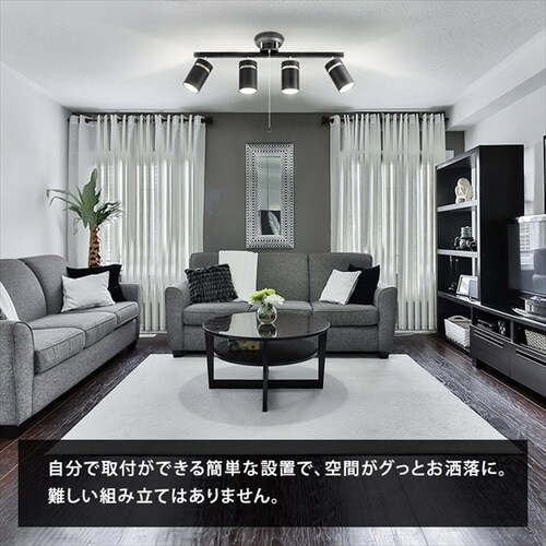 4���V�[�����O���C�g CE4LA-22SS �S2�F_3