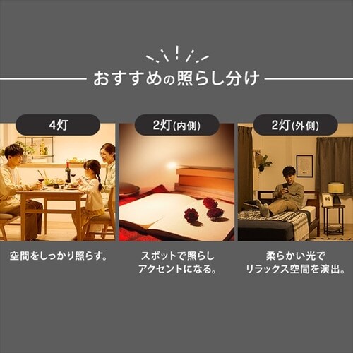 4���V�[�����O���C�g CE4LA-22SS �S2�F_8