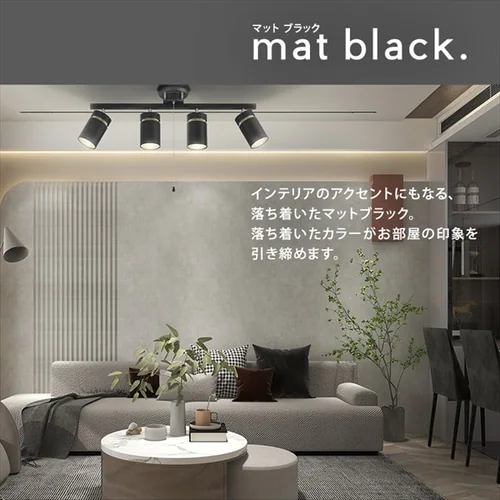 4���V�[�����O���C�g CE4LA-22SS �S2�F_10