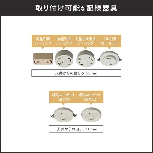 4���V�[�����O���C�g CE4LA-22SS �S2�F_12