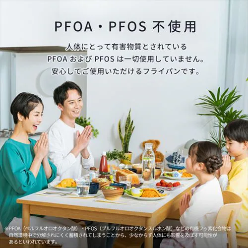 �t���C�p�� 9�_�Z�b�g IH/�K�X�ΑΉ� �_�C�������h�R�[�g�p�� NTF-SEI9 �u���b�N���^���b�N_15