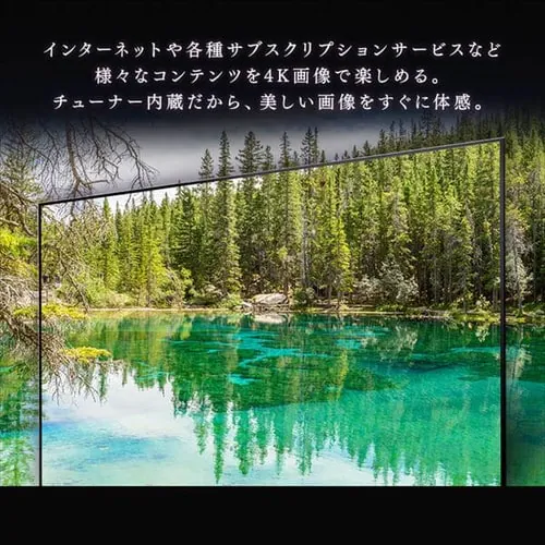 LUCA スマートテレビ 4K 50V型 50XDA20【代引き不可】_6