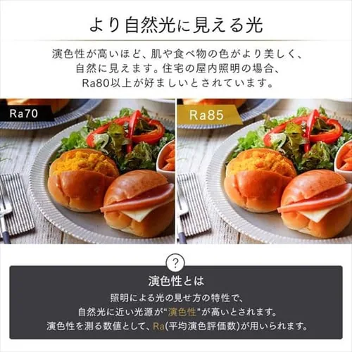 LED �V�[�����O���C�g 8�� ���� ���F �X�s�[�J�[ �H��E�H���s�v �����R���t�� 5�N�ۏ� CEA-2108DLSP_7