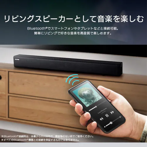 �T�E���h�X�s�[�J�[ IHT-S101 �u���b�N_7