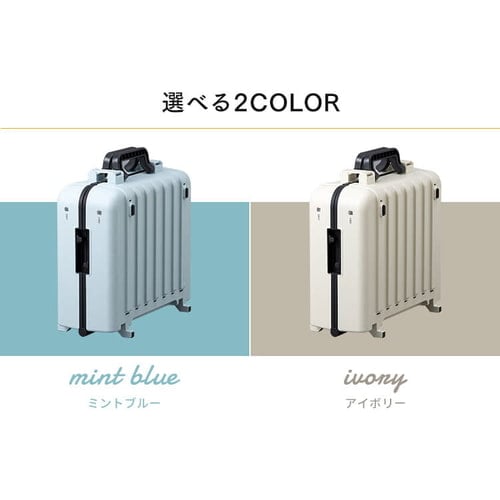 ホットプレート 大型 両面 3枚 DPOL-W31-C アイボリー (平面/たこ焼き