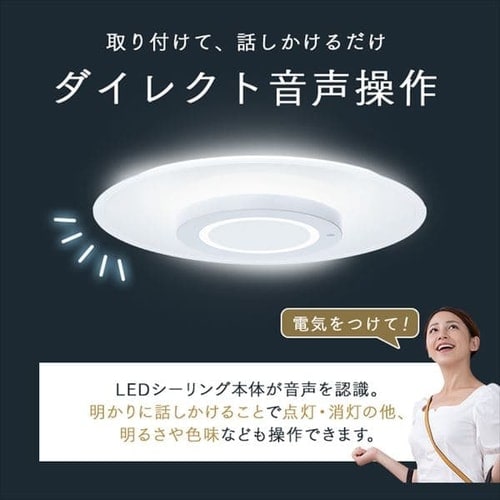 IRIS OHYAMA LEDシーリングライト CEK-A08DLPV LED シーリングライト 8畳 調光 調色 音声操作 工具・工事不要