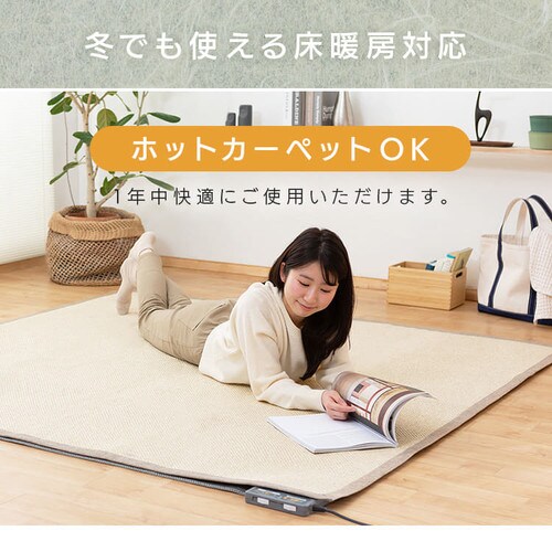 ���O �a���_�����O 185cm�~240cm 3�� �x�[�W���~�O���[ ORG-P1824_8