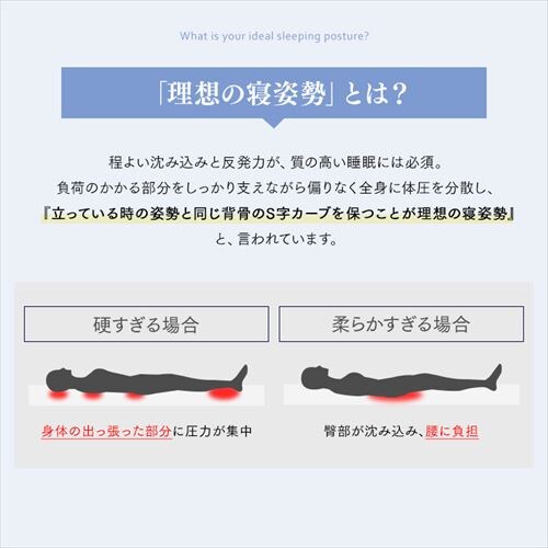 �}�b�g���X �V���O�� �|�P�b�g�R�C�� ����23�p �s���[�g�b�v Sheep PMTS23PNR-S�y������s�z_5