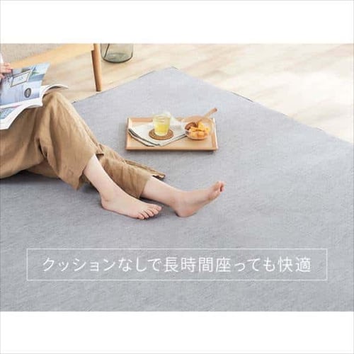 ラ・クッションラグ リバーシブルタイプ 185×185cm ACRR-CM1818 全2色