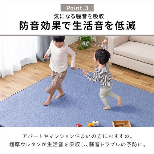 ���O ���E�N�b�V�������O ���o�[�V�u���^�C�v �t�ďH�~�g���郉�O 185cm�~185cm 2�� ����3cm �O���[ ACRR-CM1818_9