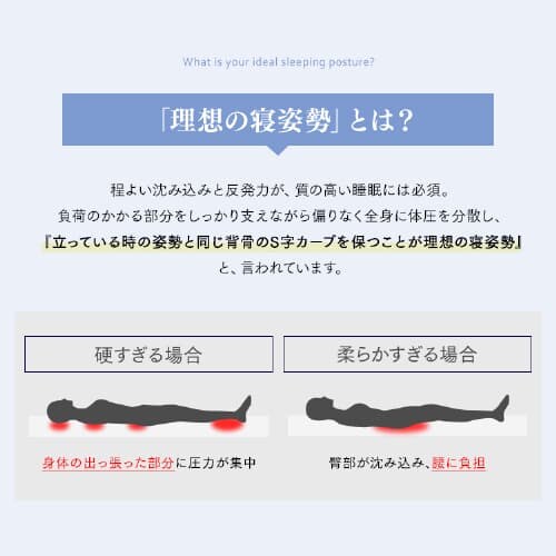 �}�b�g���X �_�u�� �|�P�b�g�R�C�� ����25cm PMTS25H-D Sheep_9